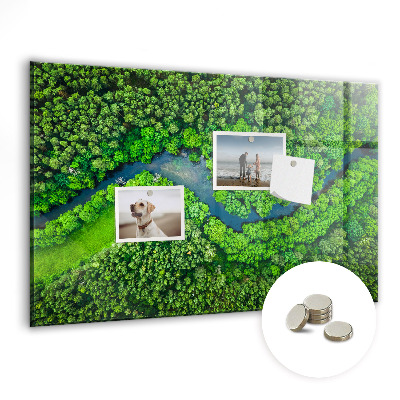 Magnetic notice board for kitchen River in the forest