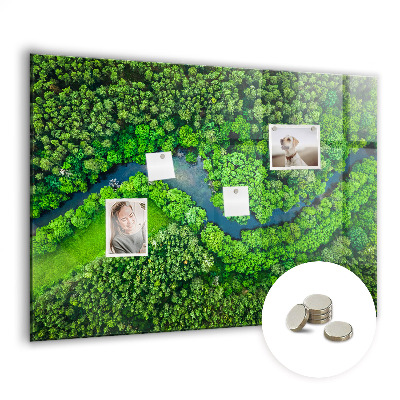 Magnetic notice board for kitchen River in the forest