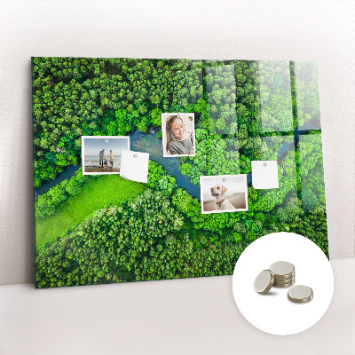 Magnetic notice board for kitchen River in the forest