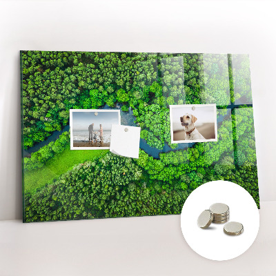 Magnetic notice board for kitchen River in the forest