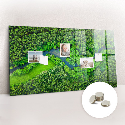 Magnetic notice board for kitchen River in the forest