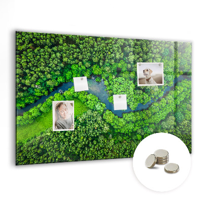 Magnetic notice board for kitchen River in the forest