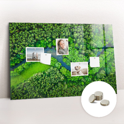 Magnetic notice board for kitchen River in the forest