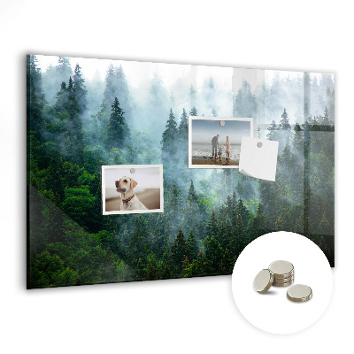 Magnetic notice board Foggy forest