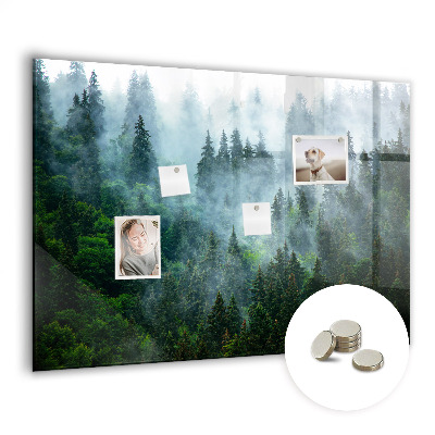 Magnetic notice board Foggy forest