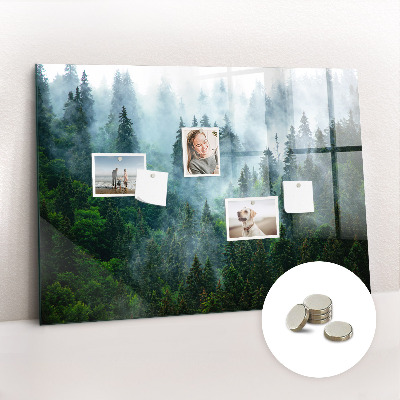 Magnetic notice board Foggy forest