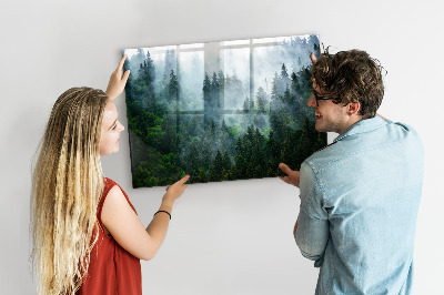 Magnetic notice board Foggy forest