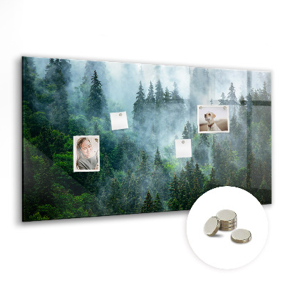 Magnetic notice board Foggy forest