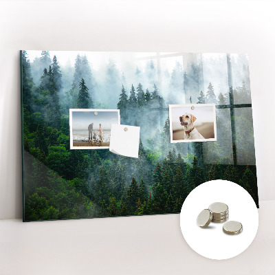 Magnetic notice board Foggy forest