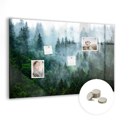 Magnetic notice board Foggy forest