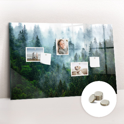 Magnetic notice board Foggy forest