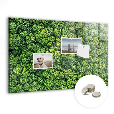 Magnetic notice board for kitchen Forest view