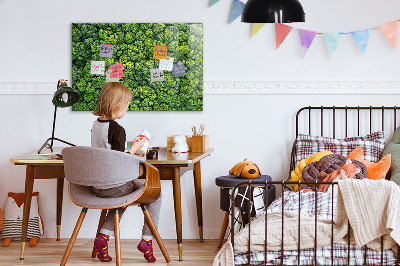 Magnetic notice board for kitchen Forest view