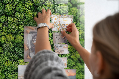 Magnetic notice board for kitchen Forest view