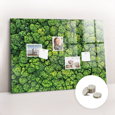 Magnetic notice board for kitchen Forest view