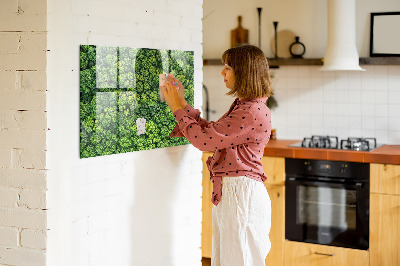 Magnetic notice board for kitchen Forest view