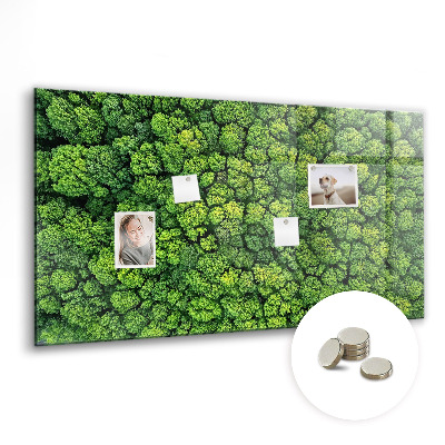 Magnetic notice board for kitchen Forest view