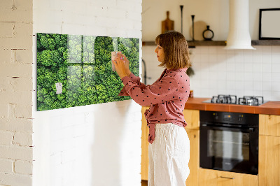 Magnetic notice board for kitchen Forest view