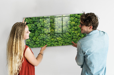 Magnetic notice board for kitchen Forest view