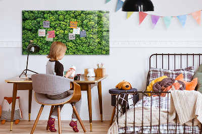 Magnetic notice board for kitchen Forest view