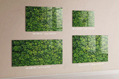 Magnetic notice board for kitchen Forest view