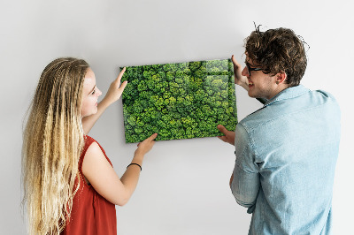 Magnetic notice board for kitchen Forest view