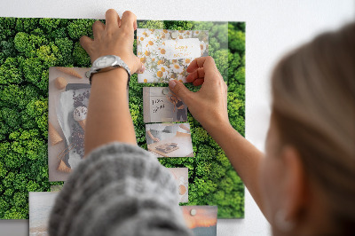 Magnetic notice board for kitchen Forest view