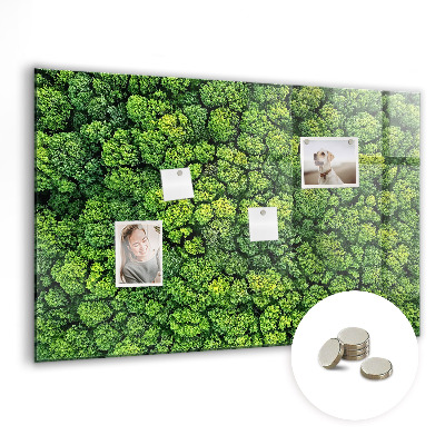 Magnetic notice board for kitchen Forest view