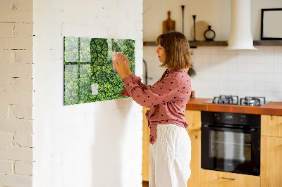 Magnetic notice board for kitchen Forest view