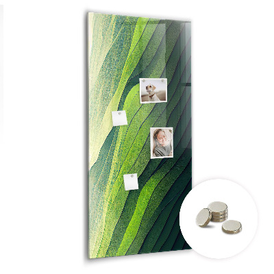 Magnetic board for office Landscape lines nature