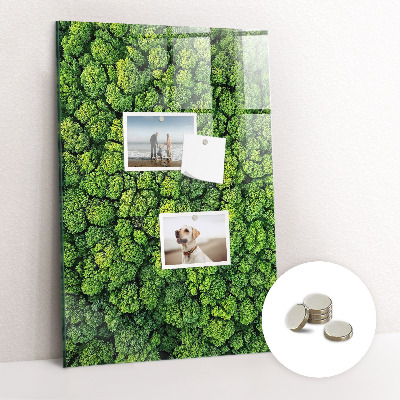 Magnetic memo board for kitchen Forest tree nature