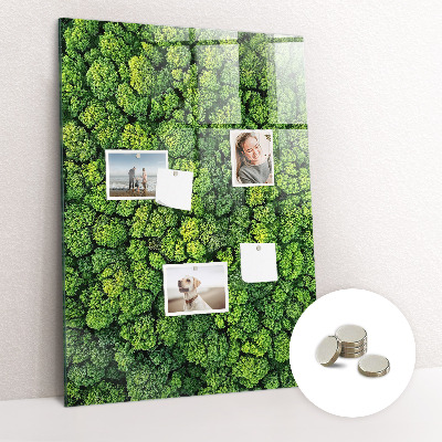 Magnetic memo board for kitchen Forest tree nature