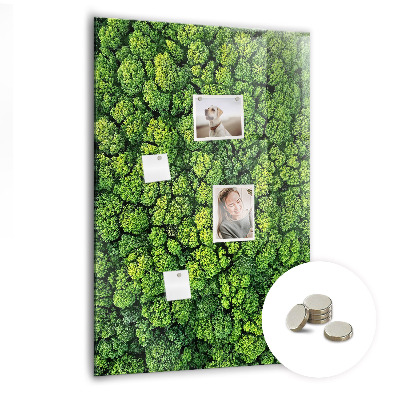 Magnetic memo board for kitchen Forest tree nature