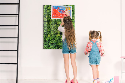 Magnetic memo board for kitchen Forest tree nature