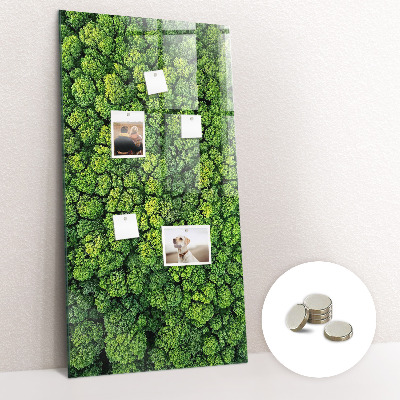 Magnetic memo board for kitchen Forest tree nature