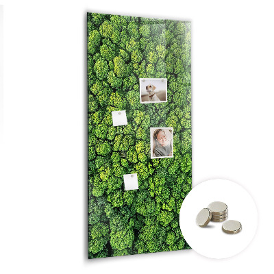 Magnetic memo board for kitchen Forest tree nature