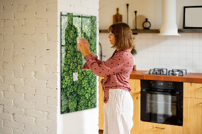 Magnetic memo board for kitchen Forest tree nature