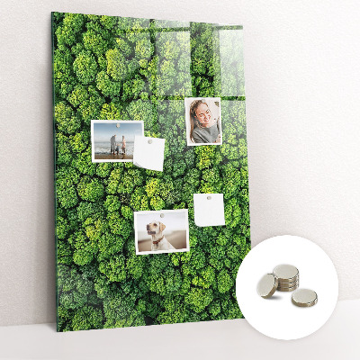 Magnetic memo board for kitchen Forest tree nature