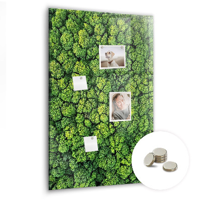 Magnetic memo board for kitchen Forest tree nature