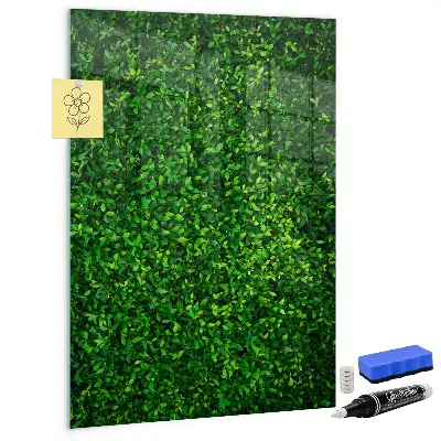 Magnetic dry erase board hedge of leaves design