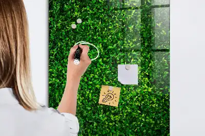 Magnetic dry erase board hedge of leaves design