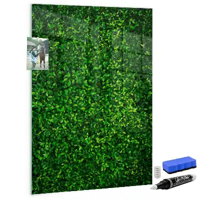 Magnetic dry erase board hedge of leaves design
