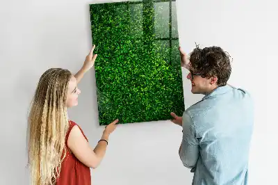 Magnetic dry erase board hedge of leaves design
