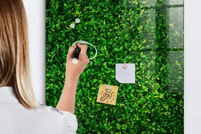 Magnetic dry erase board hedge of leaves design