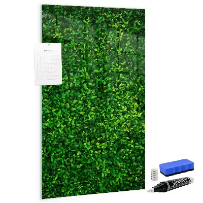 Magnetic dry erase board hedge of leaves design