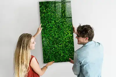 Magnetic dry erase board hedge of leaves design