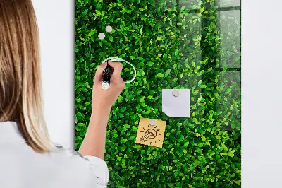Magnetic dry erase board hedge of leaves design