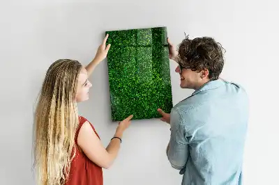 Magnetic dry erase board hedge of leaves design