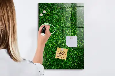 Magnetic dry erase board hedge of leaves design