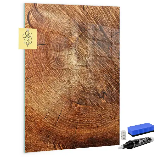 Dry erase magnetic board with a tree trunk cross-section design